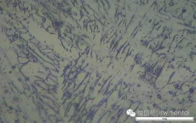 mg不朽情缘(中国)官方网站